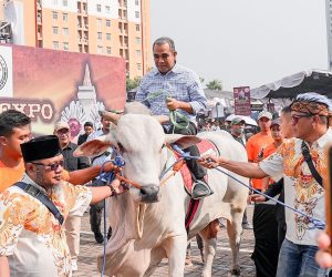 Sekjen Gerindra Hadiri Kontes Sapi Asosiasi Peternak dan Penggemuk Sapi Indonesia (APPSI)