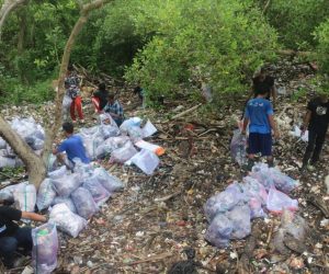 Peringati Hari Bumi Sedunia Relawan Seascape Pungut Sampah Di Pantai Sederhana Muaragembong