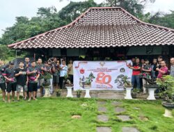 Meriahkan Kemerdekaan, Kicau Mania dan Bongsai Sehati Ambon Gelar Lomba dan Pameran Unik