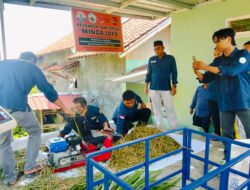 KTT Mindajaya dan UNU Purwokerto Latih Peternak Olah Jerami Jadi Pakan Fermentasi
